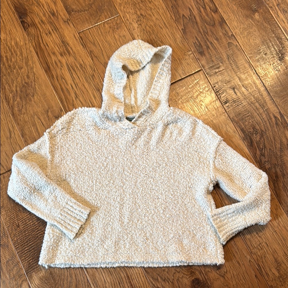 American Eagle hooded sweater.